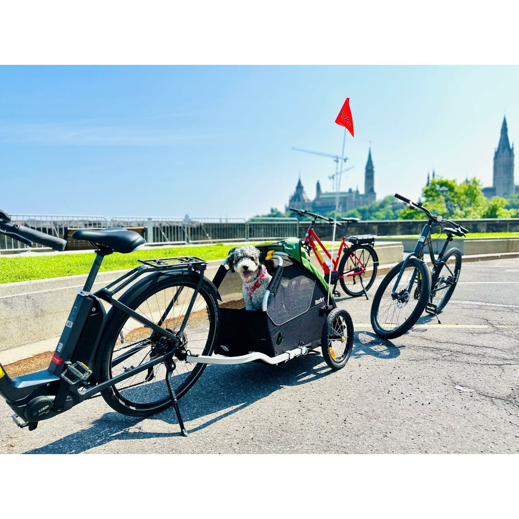 Remorque pour bicyclette Burley BU-947108