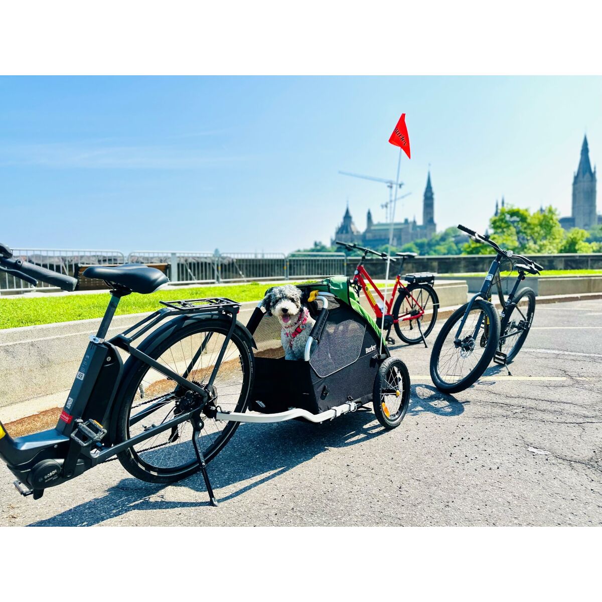 Remorque pour bicyclette Burley BU-947108