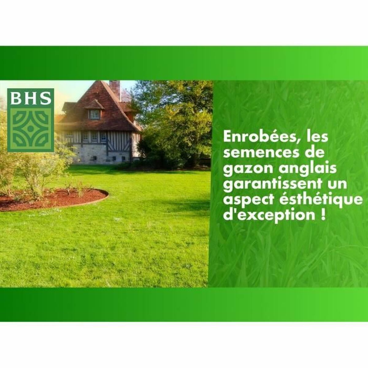 Graines BHS Gazon Anglais 10 kg