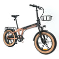 Vélo Électrique Youin BK1650 DALLAS Noir Café 250 W 20"