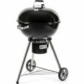 Barbecue Portable Fieldmann FZG 1016 Métal Acier