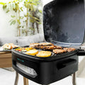 Barbecue Électrique Cecotec 3061 2000 W