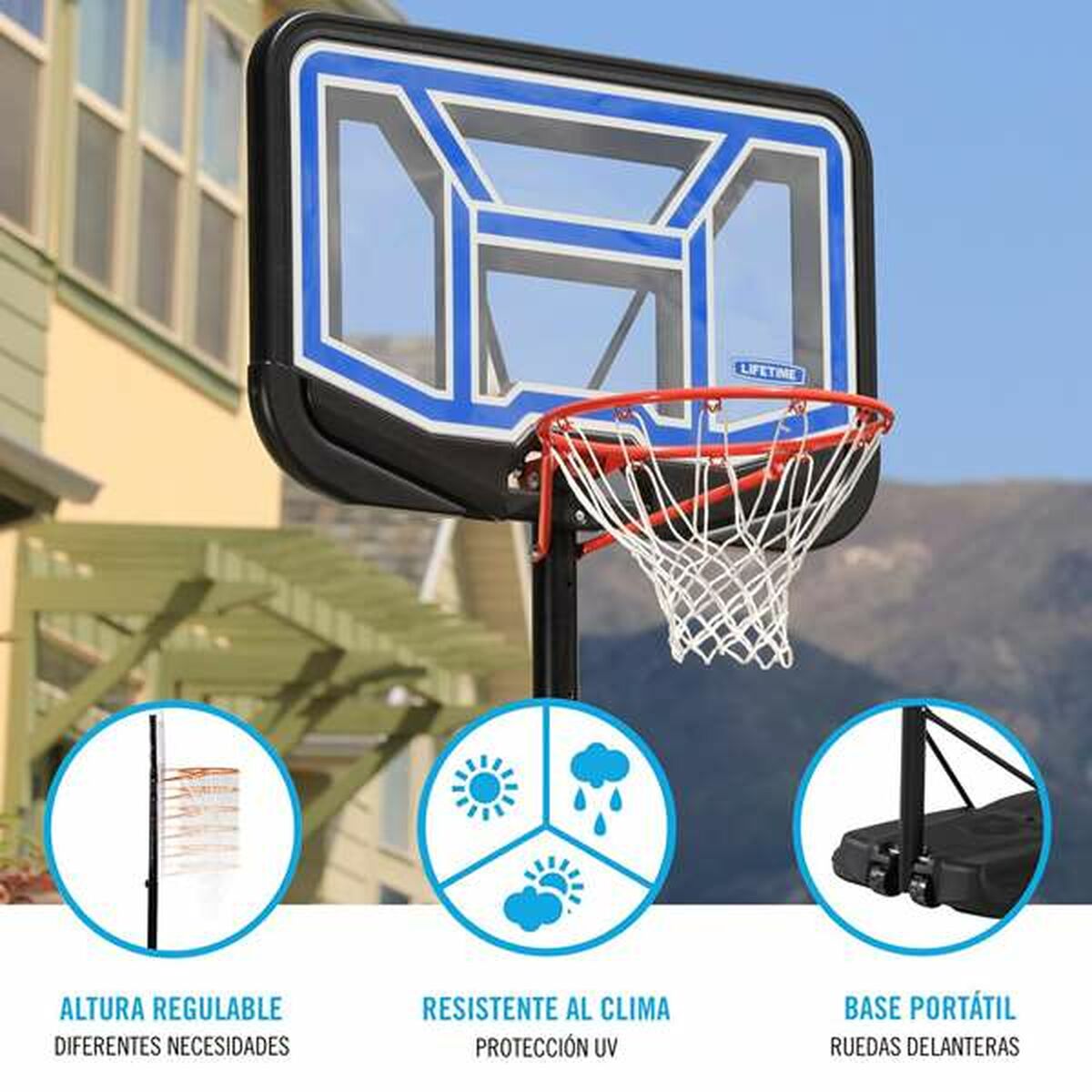 Panier de Basket Lifetime