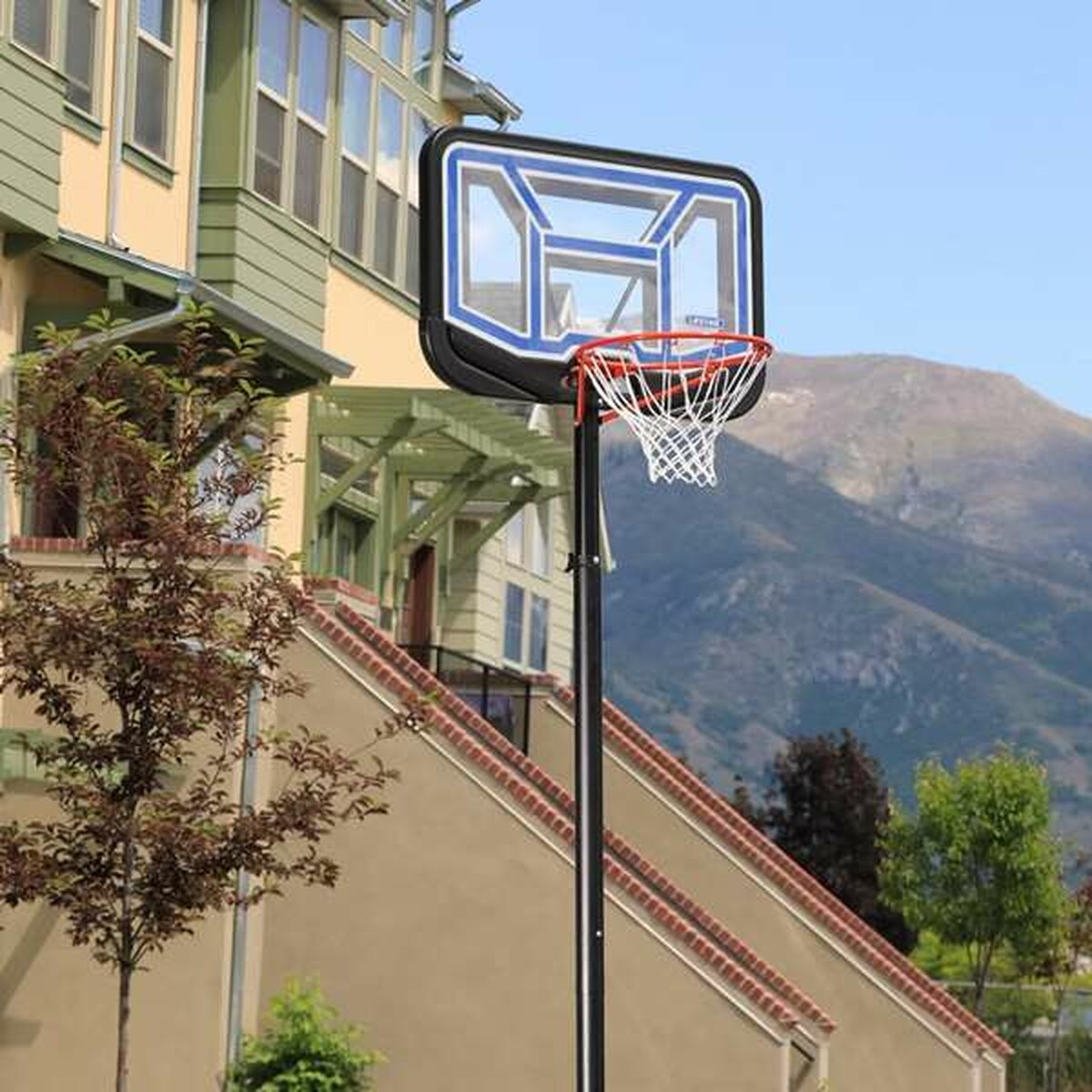 Panier de Basket Lifetime