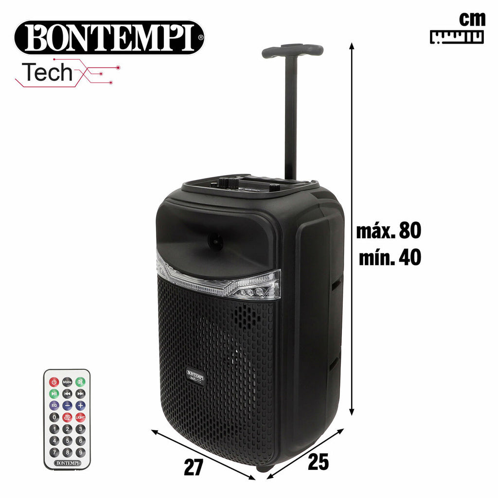 Enceinte avec Microphone Karaoké Bontempi 2 Unités