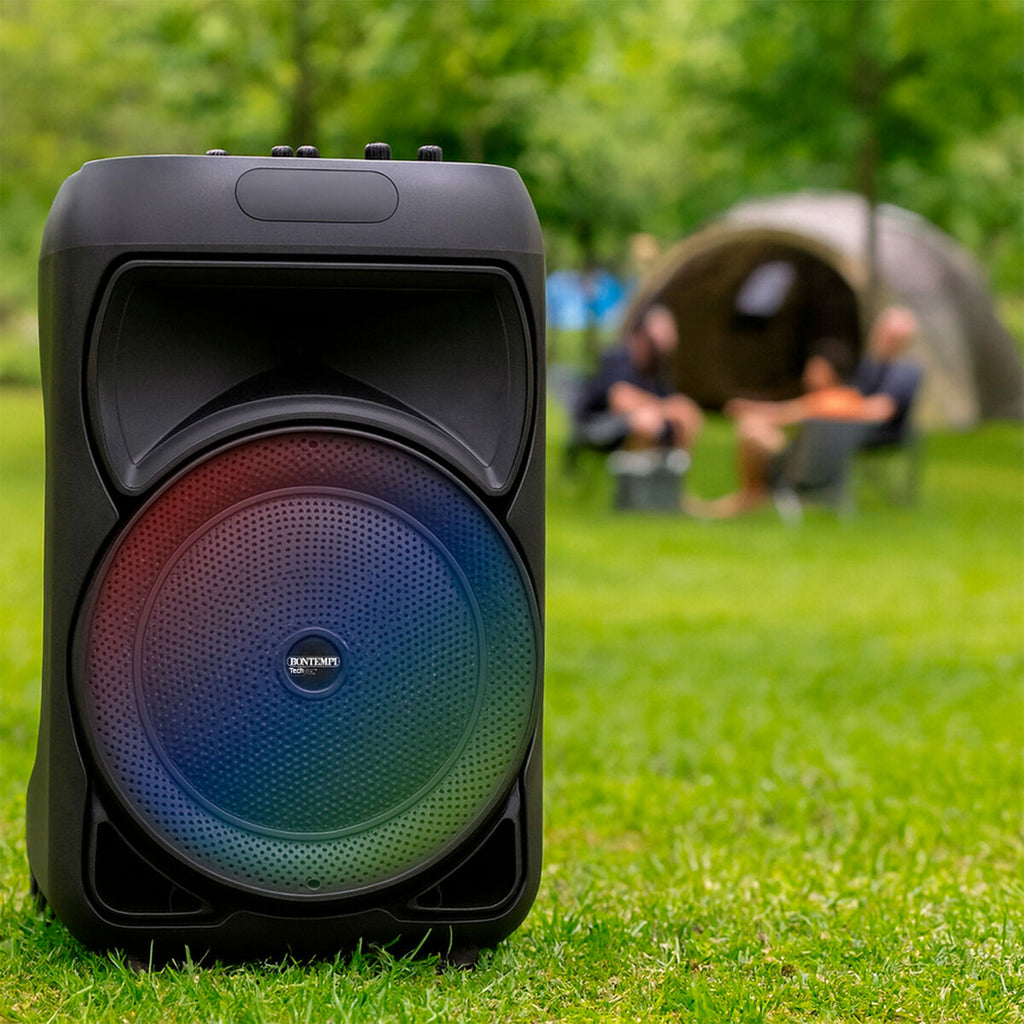 Enceinte avec Microphone Karaoké Bontempi 2 Unités