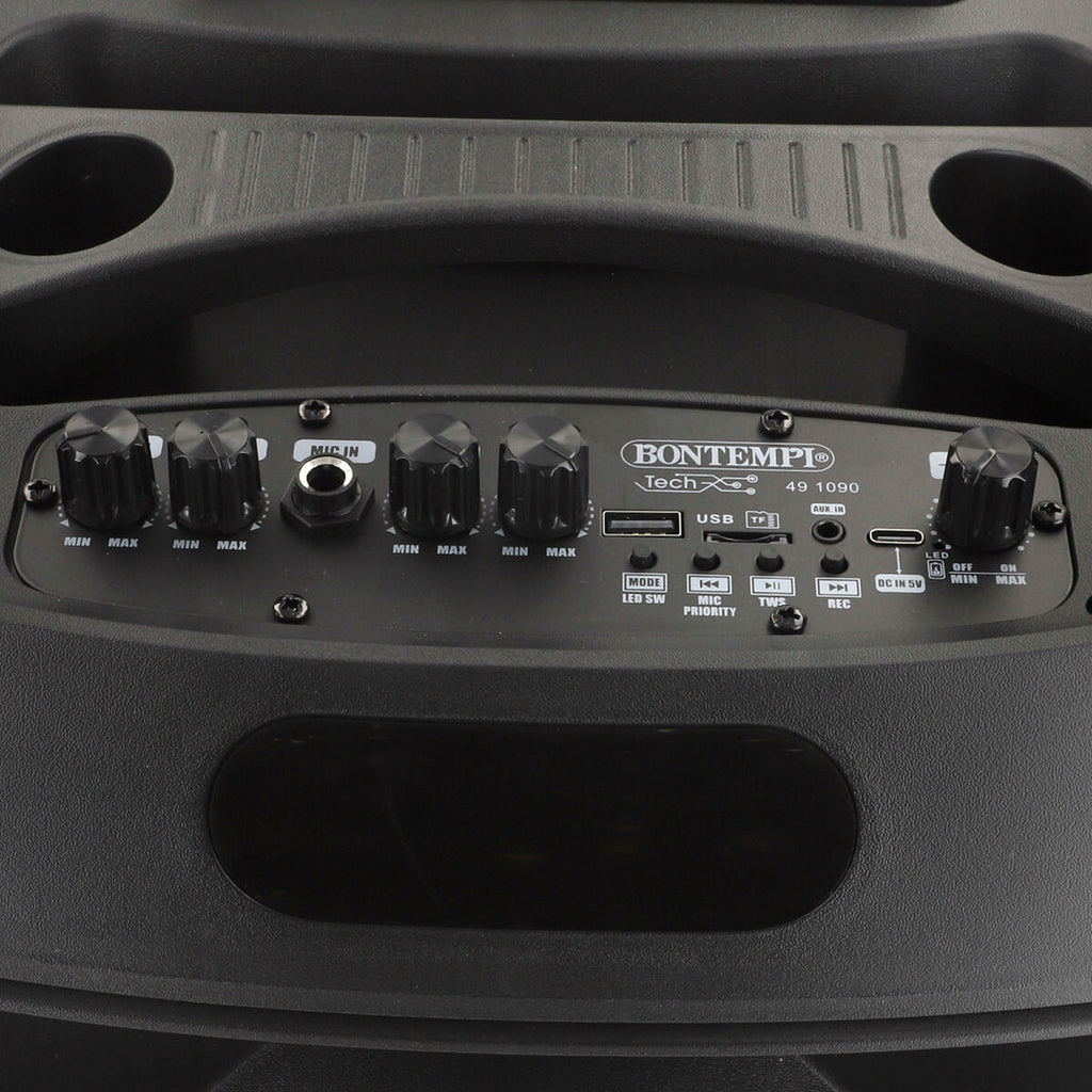 Enceinte avec Microphone Karaoké Bontempi 2 Unités